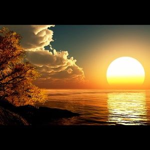 Meet your Posher, Fatima